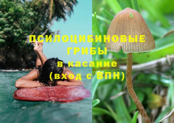 индика Малоархангельск