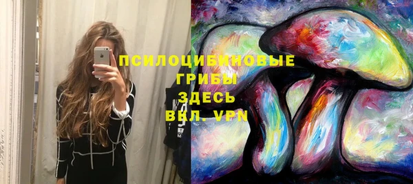 a pvp Михайлов