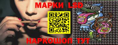 ECSTASY Камышлов