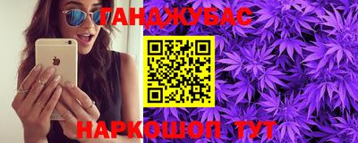ECSTASY Камышлов