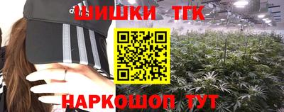 ECSTASY Камышлов